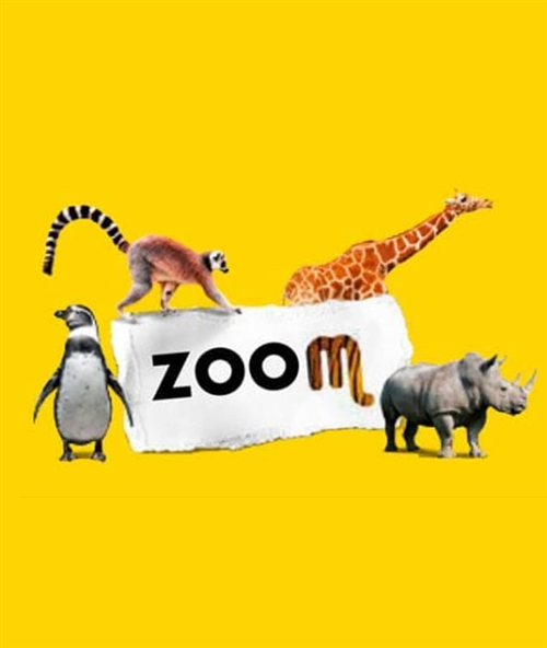 zoom